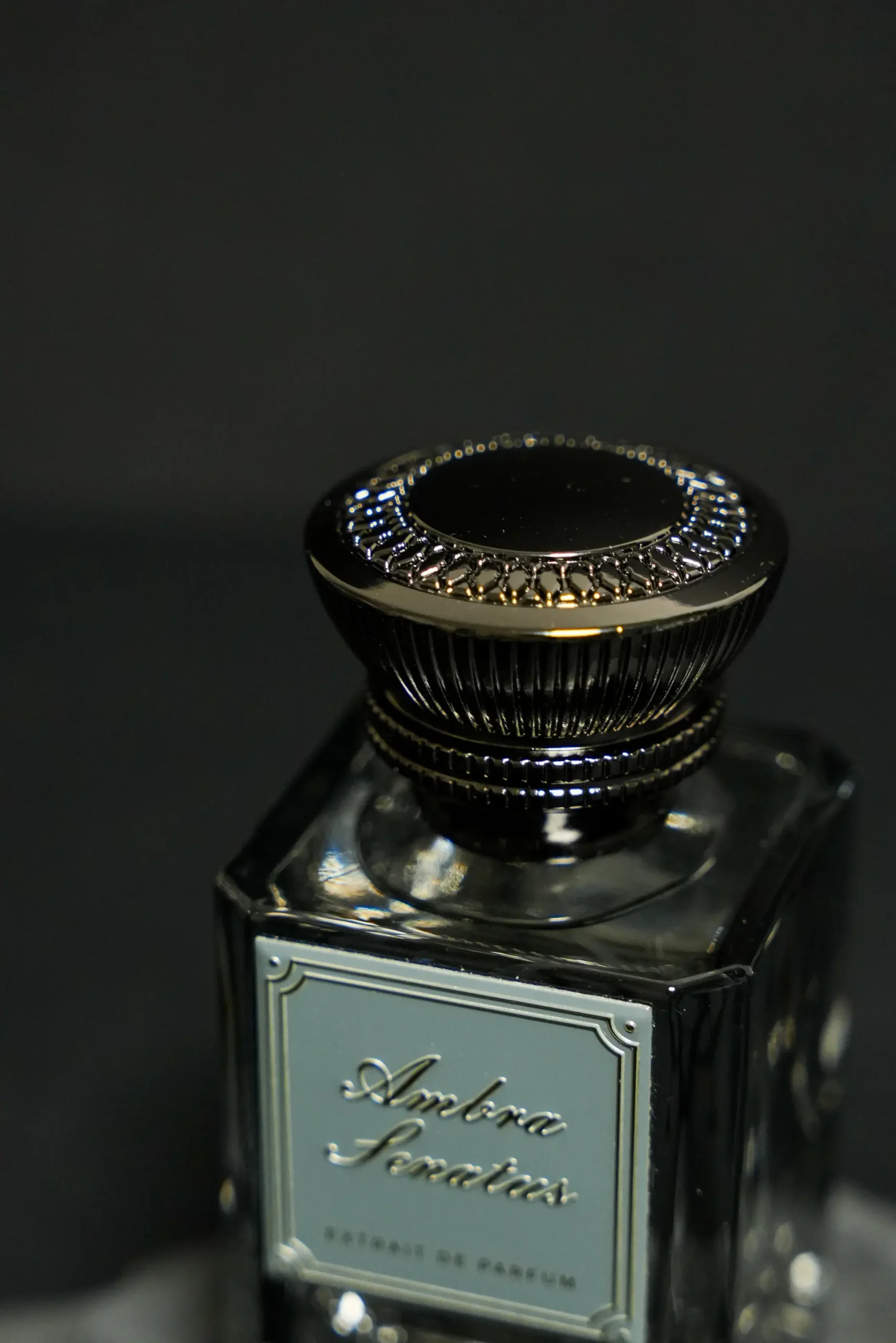 Ambra Senatus – Image 5