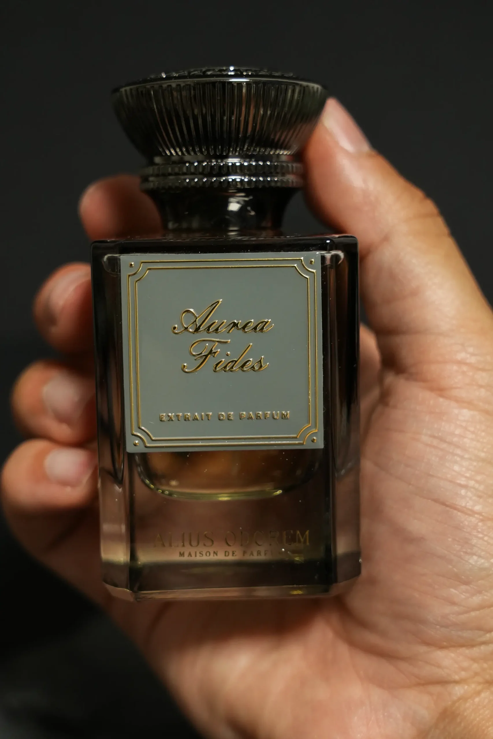 Aurea Fides – Image 3
