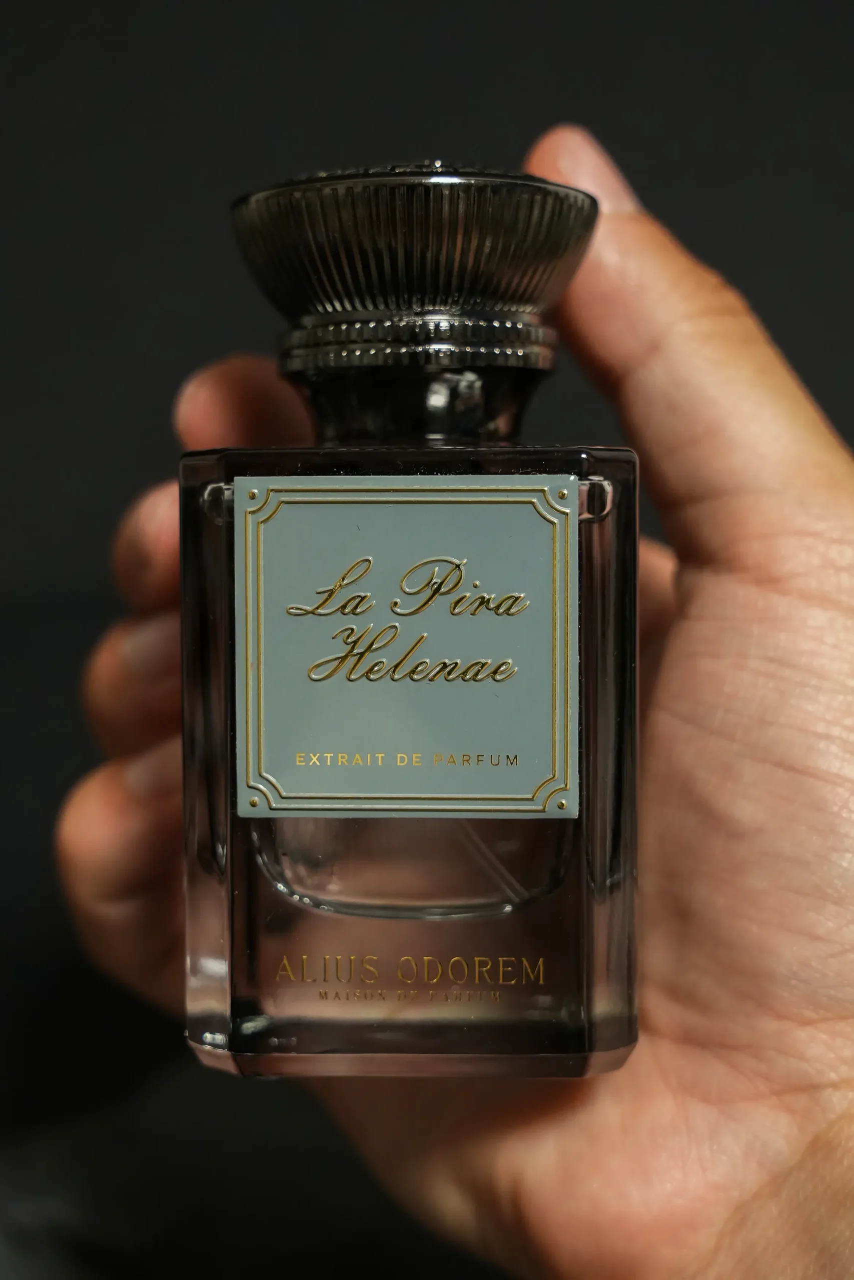 La Pira Helenae – Image 5